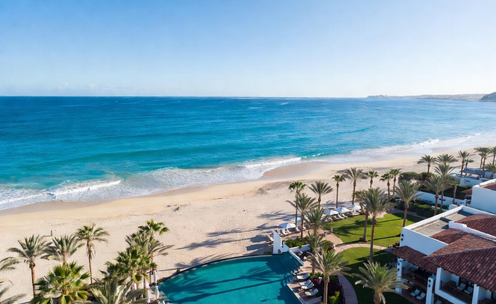 Sunlit Cabo resort terrace with palms, an infinity pool, and the ocean beyond.